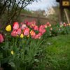 Bauerngarten 16.04.2025