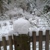 Bauerngarten 23.01.2026