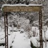 Bauerngarten 23.01.2026